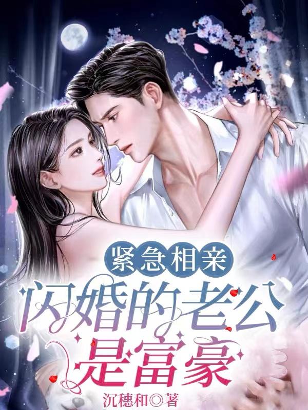 经典的相亲闪婚小说